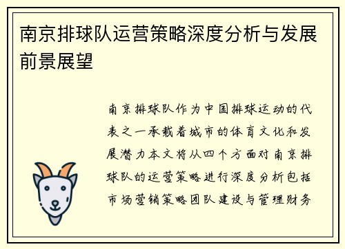 南京排球队运营策略深度分析与发展前景展望